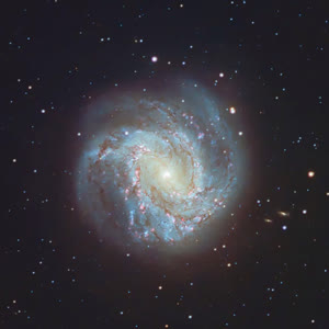 Galaxia M83 Molinete del Sur